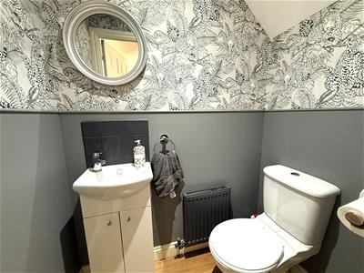 Picture 7